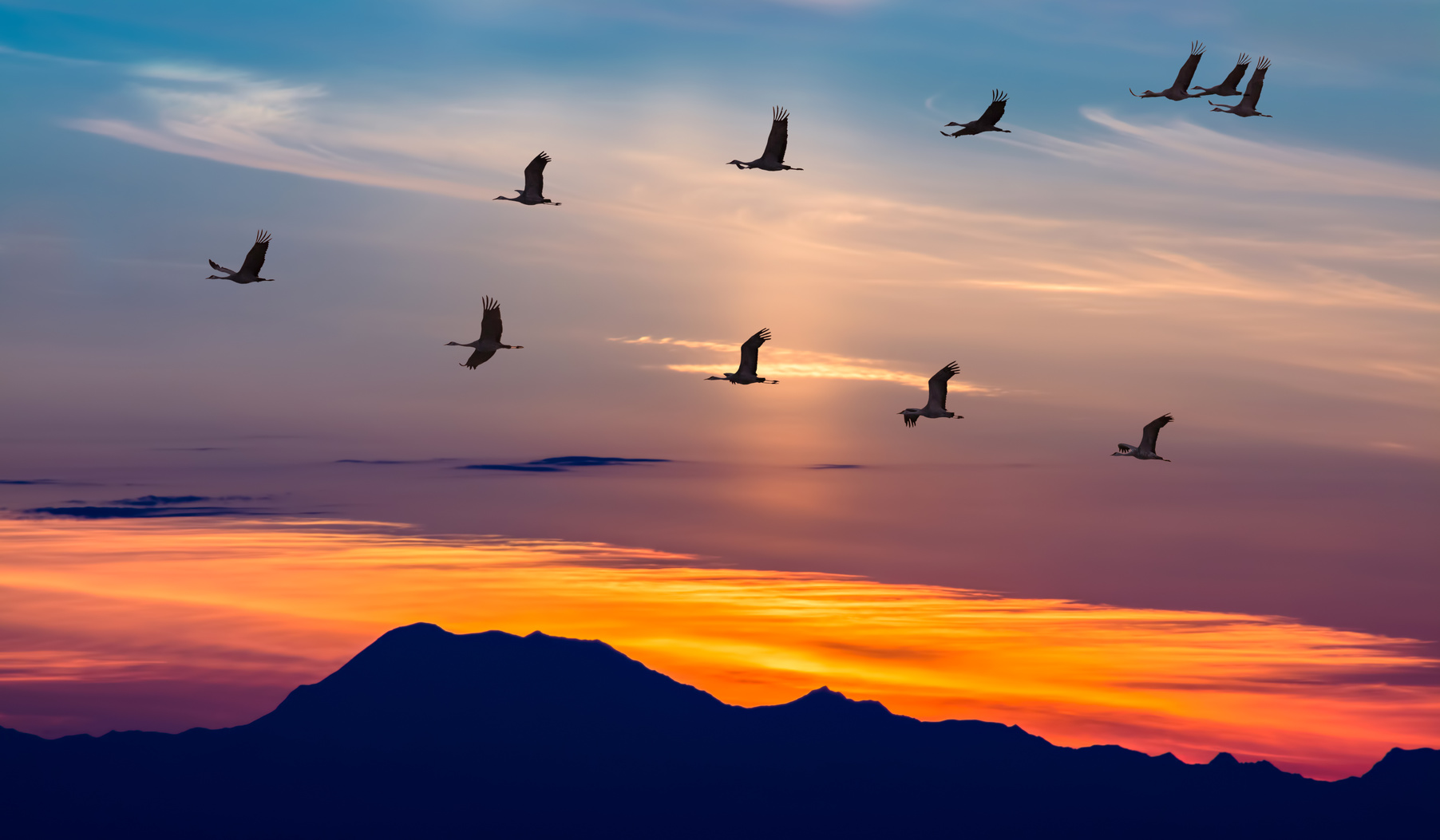 Everyday Leadership (1/2)