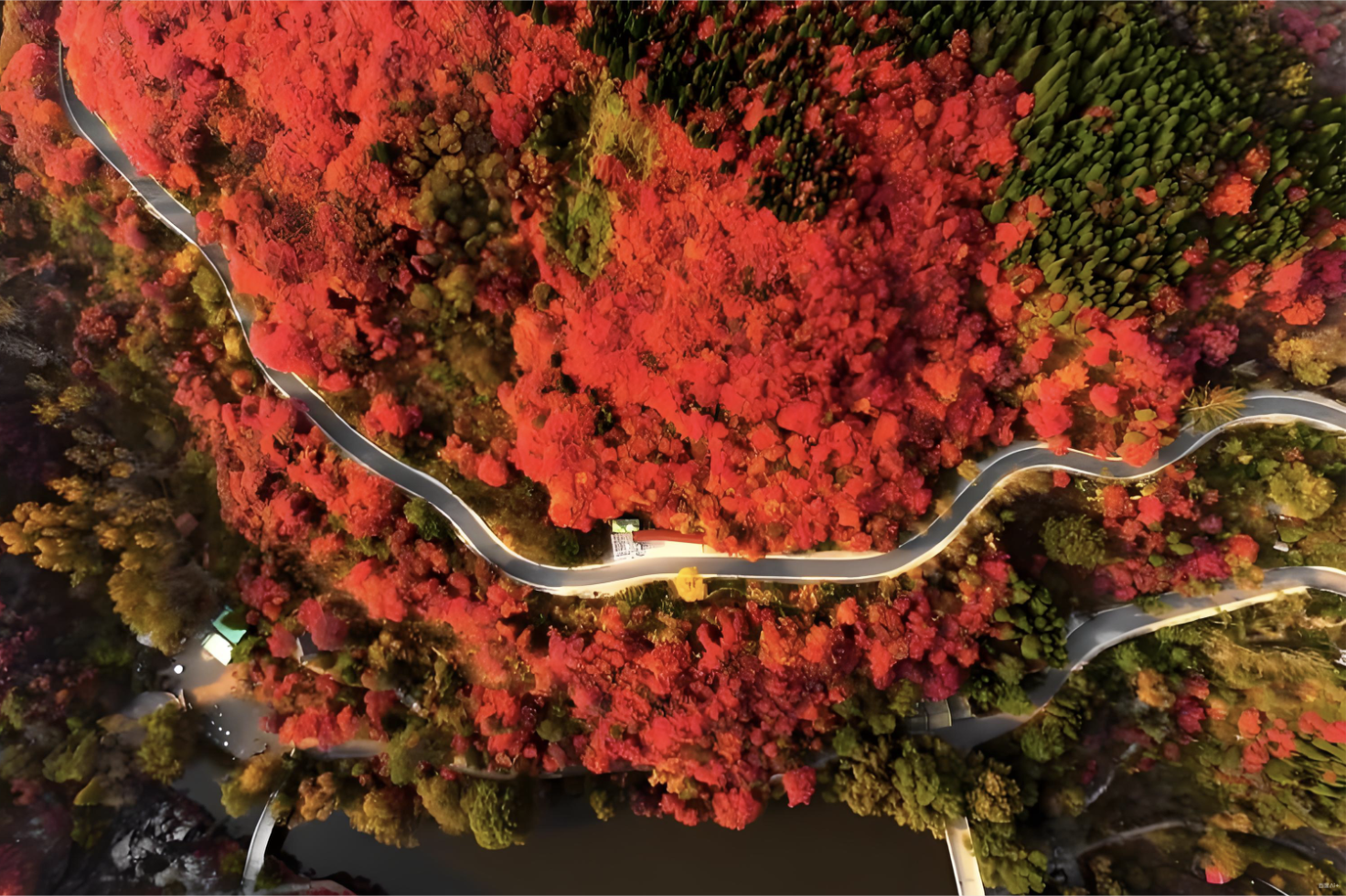 Redefining Life Purpose